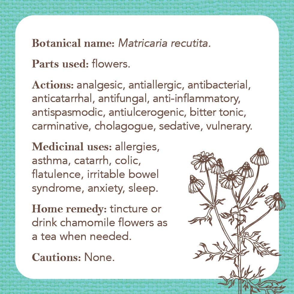 Apothecary Flashcards: A Pocket Reference for Herbs
