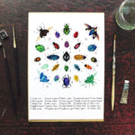 Coleoptera Beetle Art Print