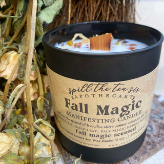 Fall Magic Black Jar Candle - 9oz