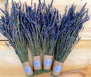 Dried French Lavender Bouquet