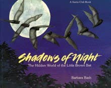 Shadows of the Night:  Hidden World of the Little Brown Bat