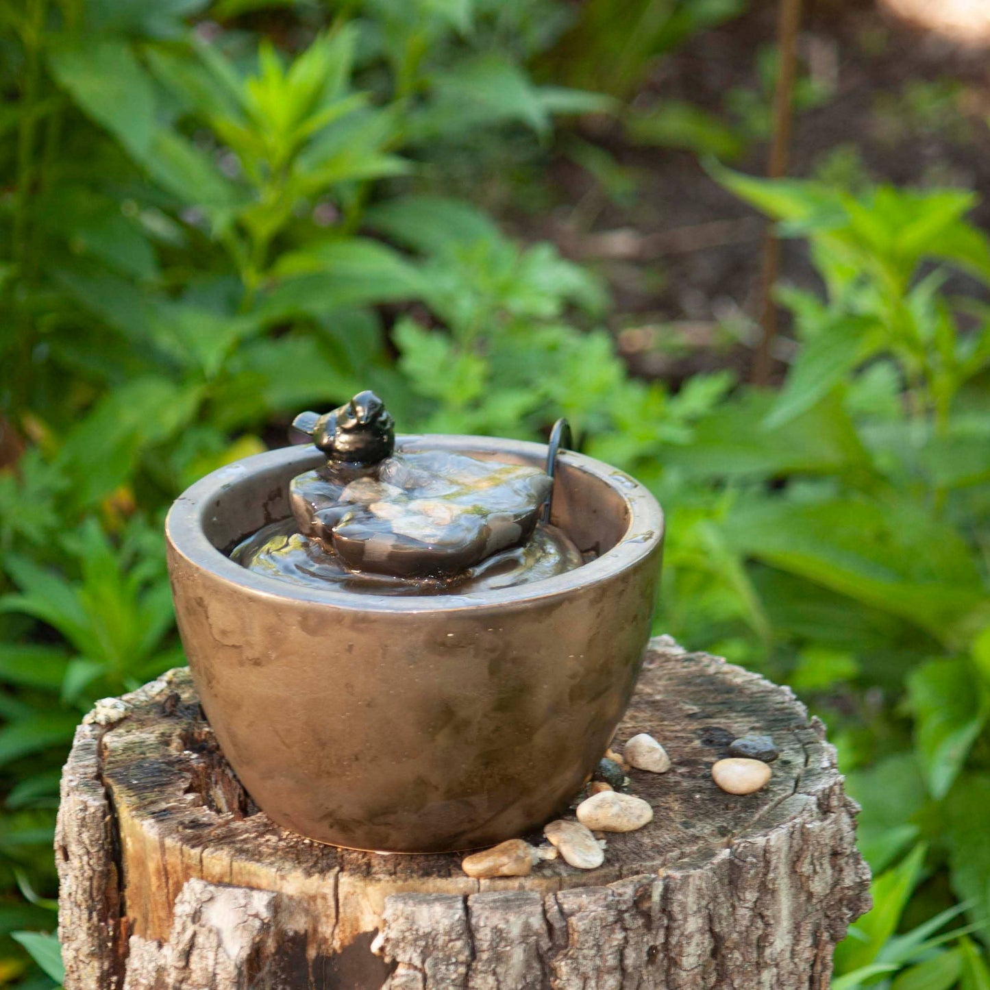 Sparrow On Leaf Fountain