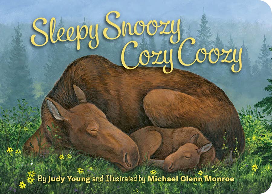 Sleepy Snoozy Cozy Coozy Toddler Board Book