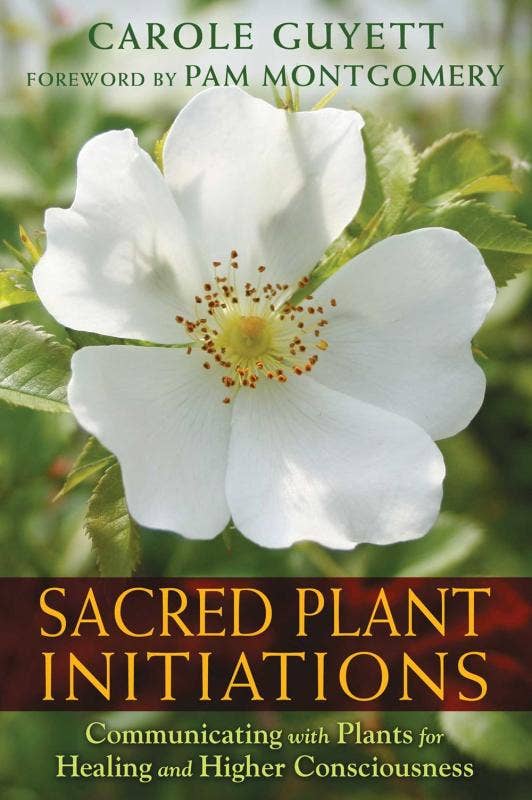 Sacred Plant Initiations: Communicating with Plants