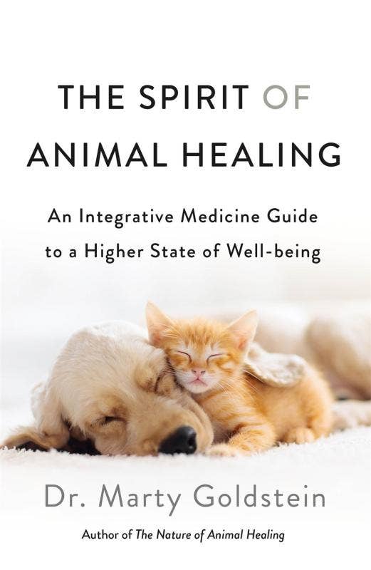 Spirit of Animal Healing: An Integrative Medicine Guide