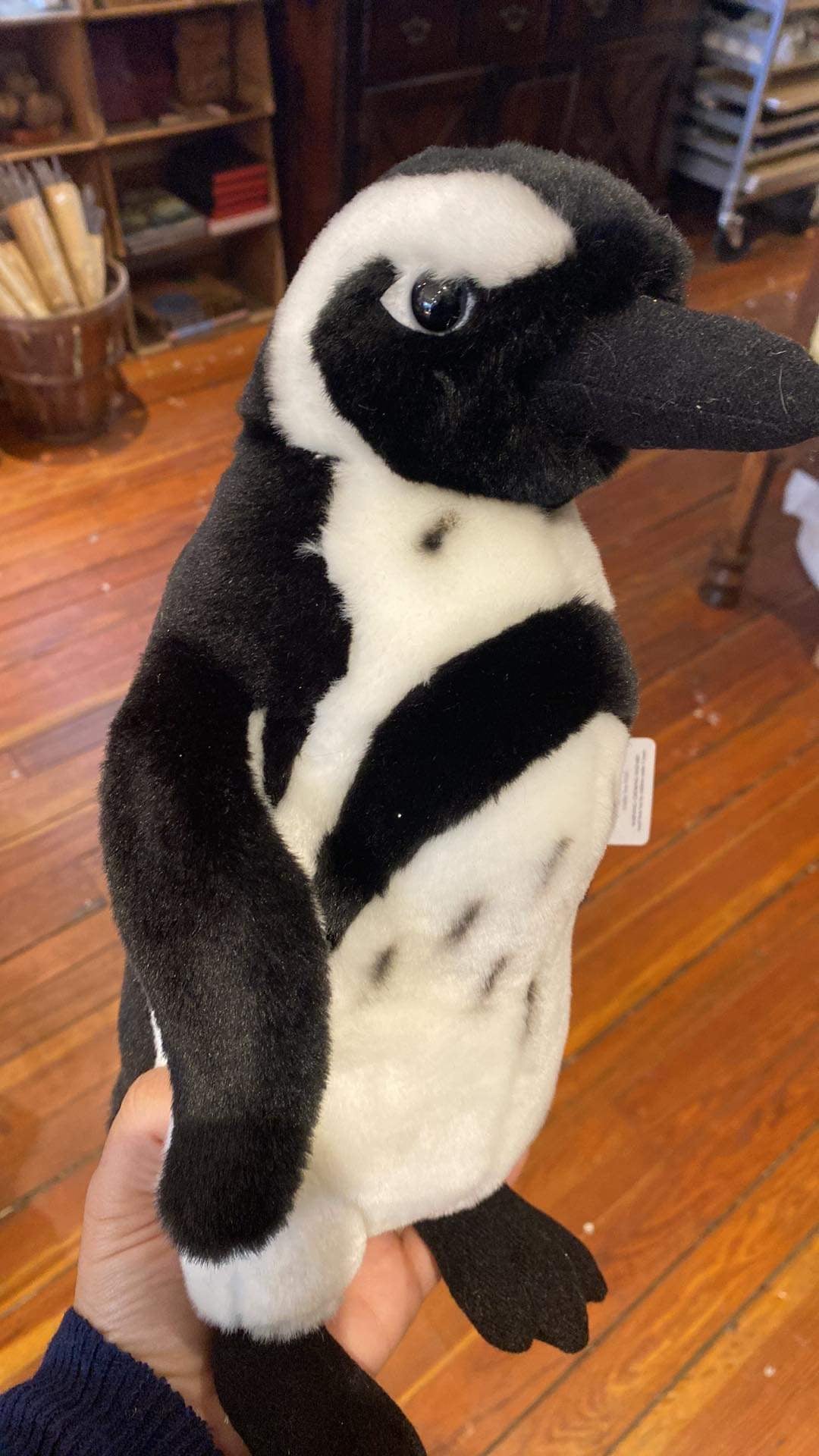 Stuffed Black-footed Penguin